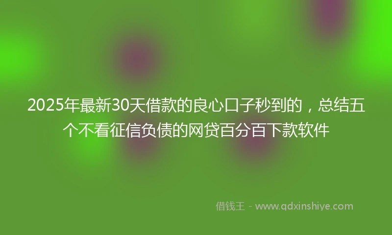 2025年最新30天借款的良心口子秒到的，总结五个不看征信负债的网贷百分百下款软件