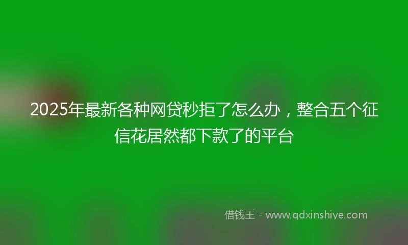 2025年最新各种网贷秒拒了怎么办，整合五个征信花居然都下款了的平台