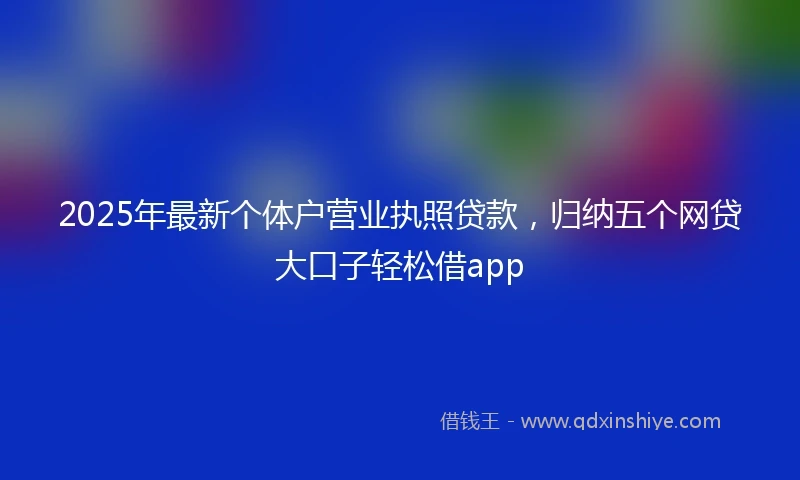 2025年最新个体户营业执照贷款，归纳五个网贷大口子轻松借app