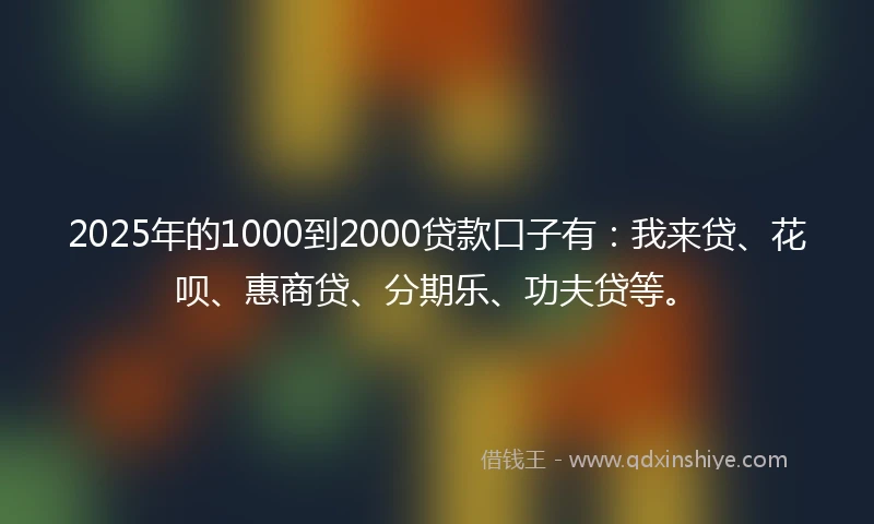 2025年的1000到2000贷款口子有：我来贷、花呗、惠商贷、分期乐、功夫贷等。