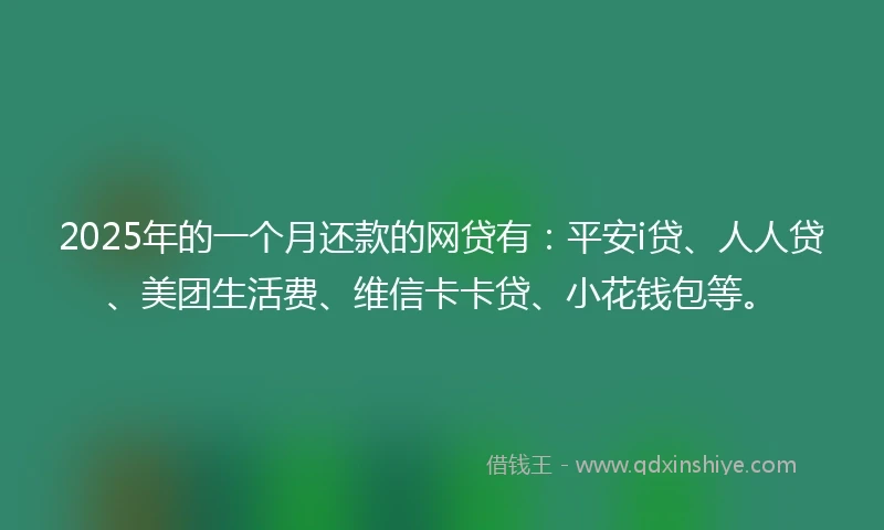 2025年的一个月还款的网贷有：平安i贷、人人贷、美团生活费、维信卡卡贷、小花钱包等。