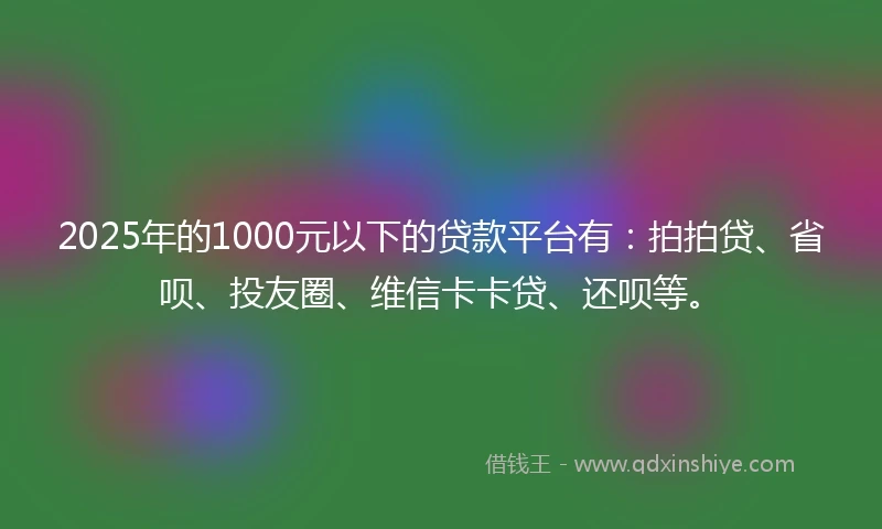 2025年的1000元以下的贷款平台有：拍拍贷、省呗、投友圈、维信卡卡贷、还呗等。