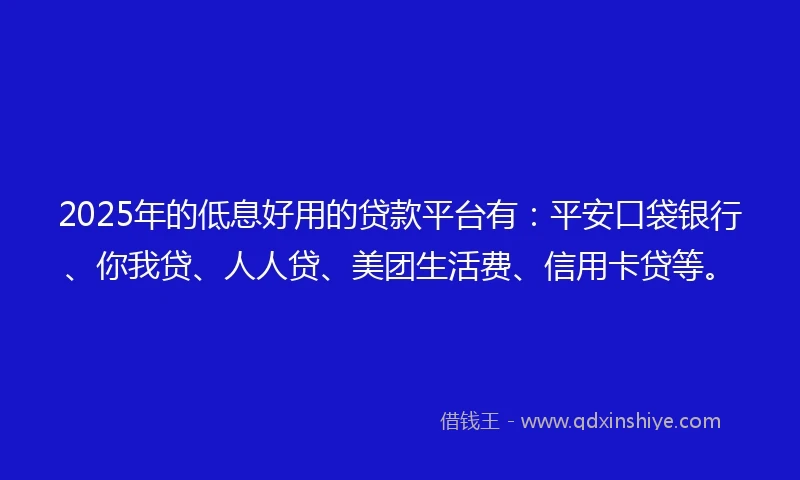 2025年的低息好用的贷款平台有：平安口袋银行、你我贷、人人贷、美团生活费、信用卡贷等。