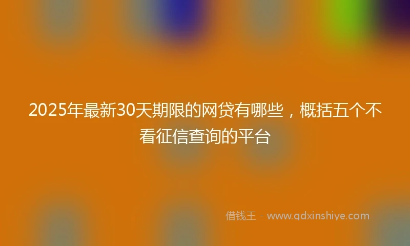 2025年最新30天期限的网贷有哪些，概括五个不看征信查询的平台