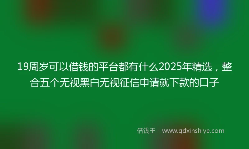 19周岁可以借钱的平台都有什么2025年精选，整合五个无视黑白无视征信申请就下款的口子