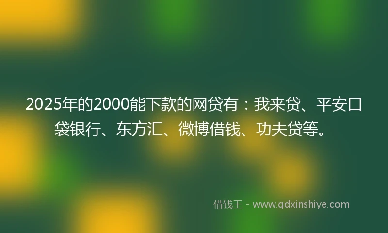 2025年的2000能下款的网贷有：我来贷、平安口袋银行、东方汇、微博借钱、功夫贷等。