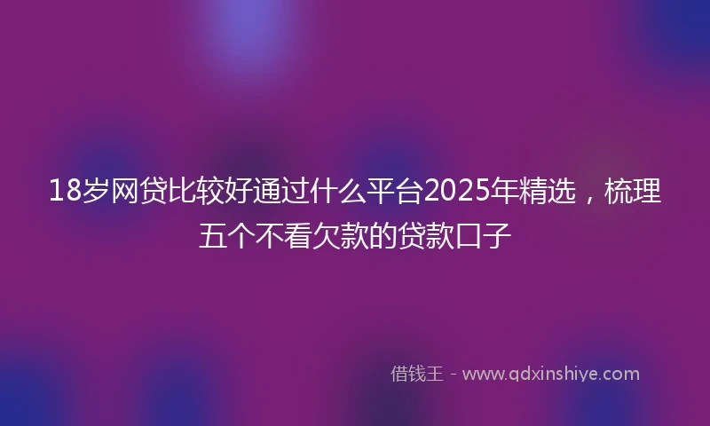 18岁网贷比较好通过什么平台2025年精选，梳理五个不看欠款的贷款口子