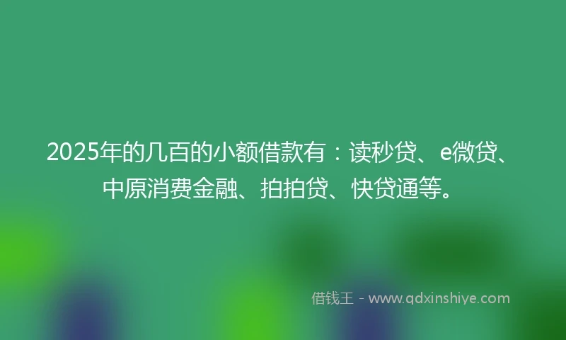2025年的几百的小额借款有：读秒贷、e微贷、中原消费金融、拍拍贷、快贷通等。