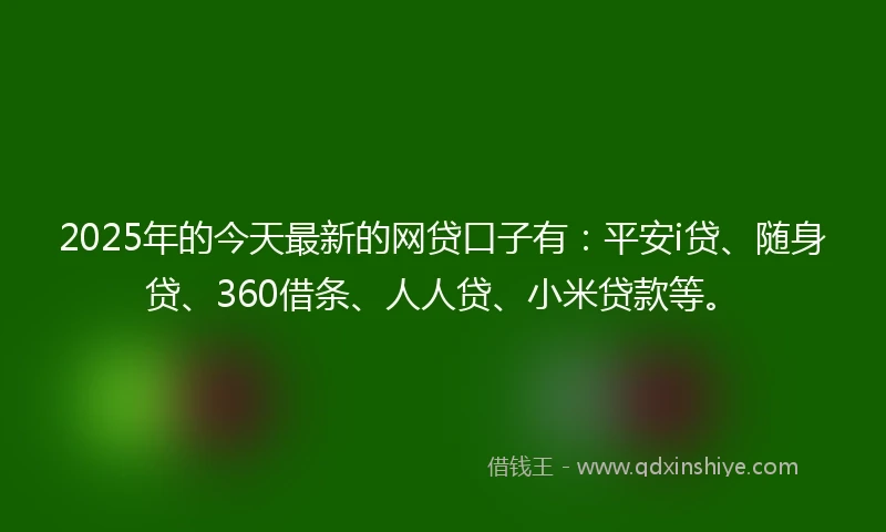 2025年的今天最新的网贷口子有：平安i贷、随身贷、360借条、人人贷、小米贷款等。