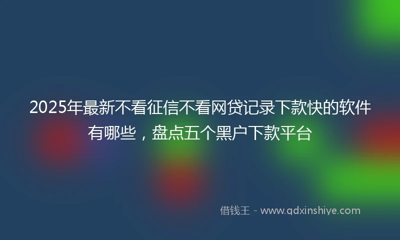 2025年最新不看征信不看网贷记录下款快的软件有哪些，盘点五个黑户下款平台