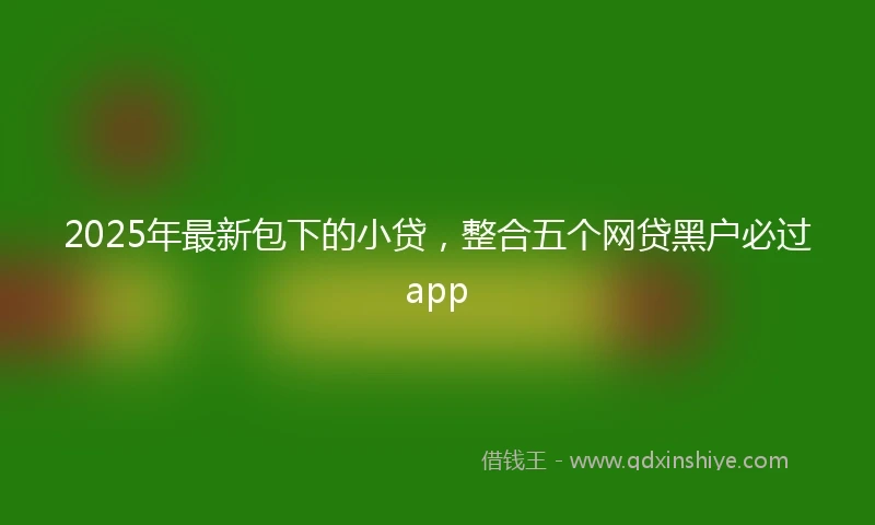 2025年最新包下的小贷，整合五个网贷黑户必过app