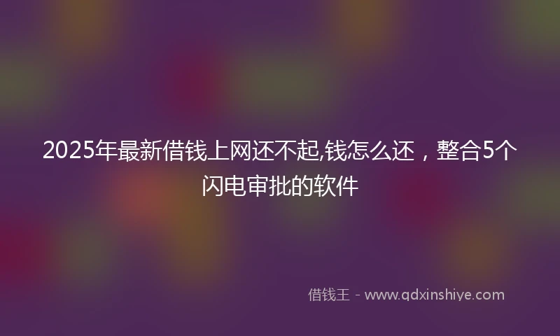 2025年最新借钱上网还不起,钱怎么还，整合5个闪电审批的软件