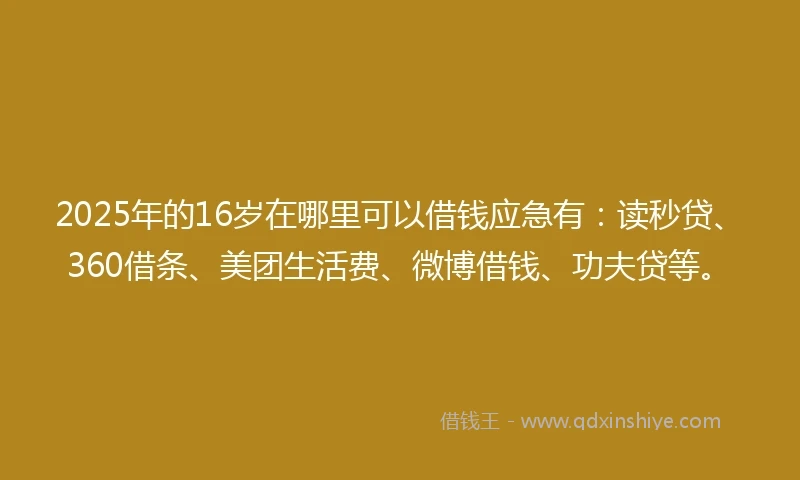 2025年的16岁在哪里可以借钱应急有：读秒贷、360借条、美团生活费、微博借钱、功夫贷等。