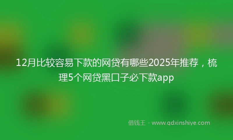 12月比较容易下款的网贷有哪些2025年推荐，梳理5个网贷黑口子必下款app