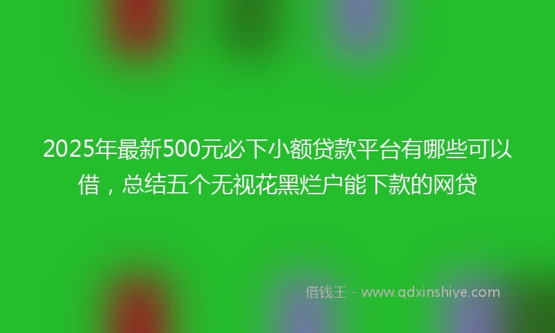 2025年最新500元必下小额贷款平台有哪些可以借，总结五个无视花黑烂户能下款的网贷
