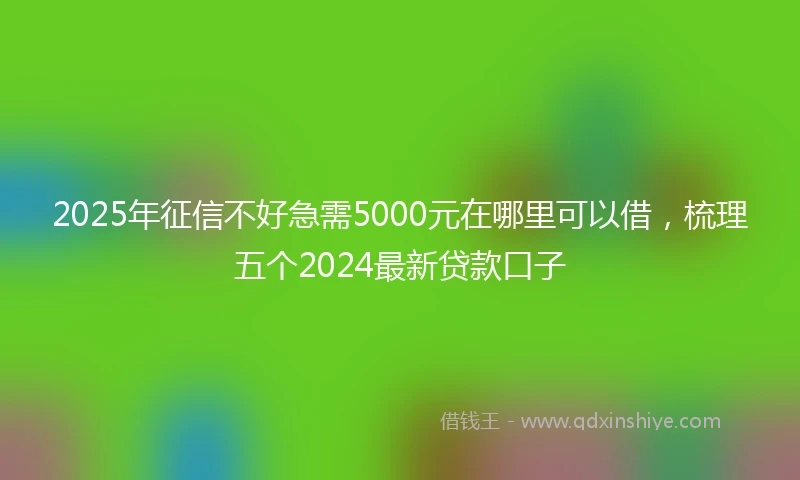 2025年征信不好急需5000元在哪里可以借，梳理五个2024最新贷款口子