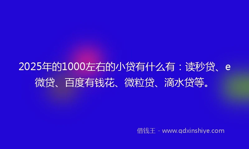 2025年的1000左右的小贷有什么有：读秒贷、e微贷、百度有钱花、微粒贷、滴水贷等。