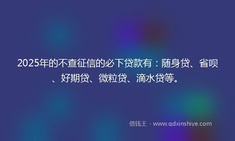 2025年的不查征信的必下贷款有：随身贷、省呗、好期贷、微粒贷、滴水贷等。