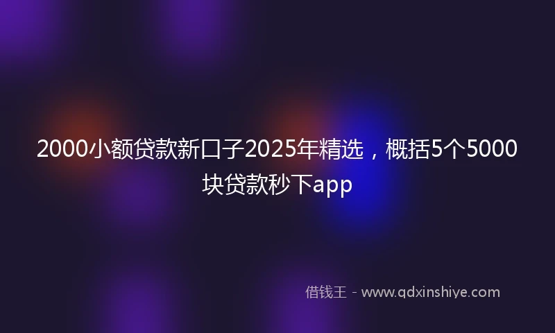 2000小额贷款新口子2025年精选，概括5个5000块贷款秒下app