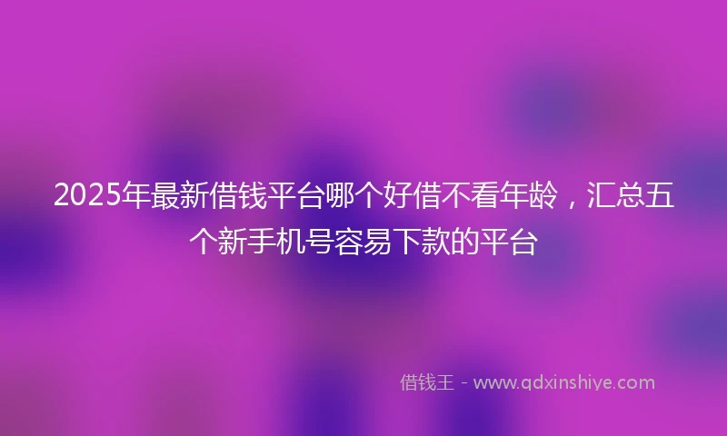 2025年最新借钱平台哪个好借不看年龄，汇总五个新手机号容易下款的平台
