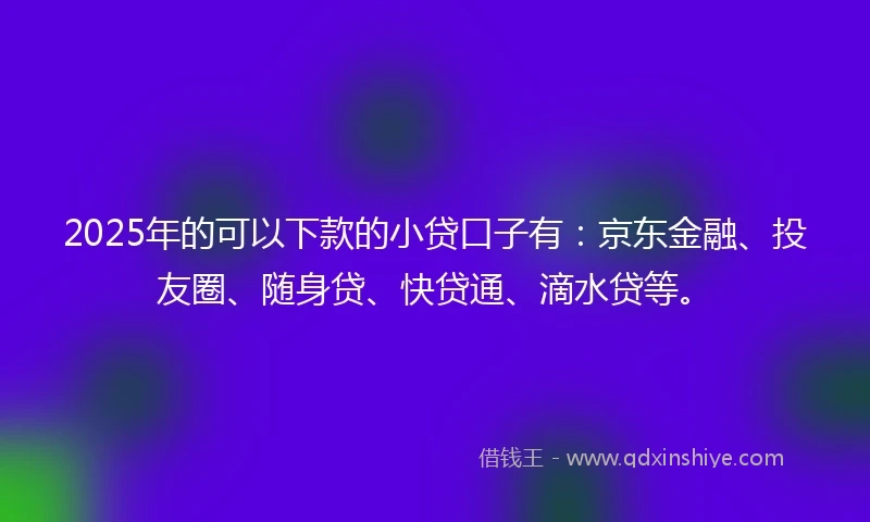 2025年的可以下款的小贷口子有：京东金融、投友圈、随身贷、快贷通、滴水贷等。