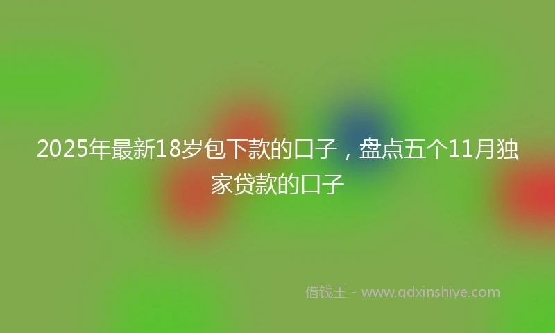 2025年最新18岁包下款的口子，盘点五个11月独家贷款的口子
