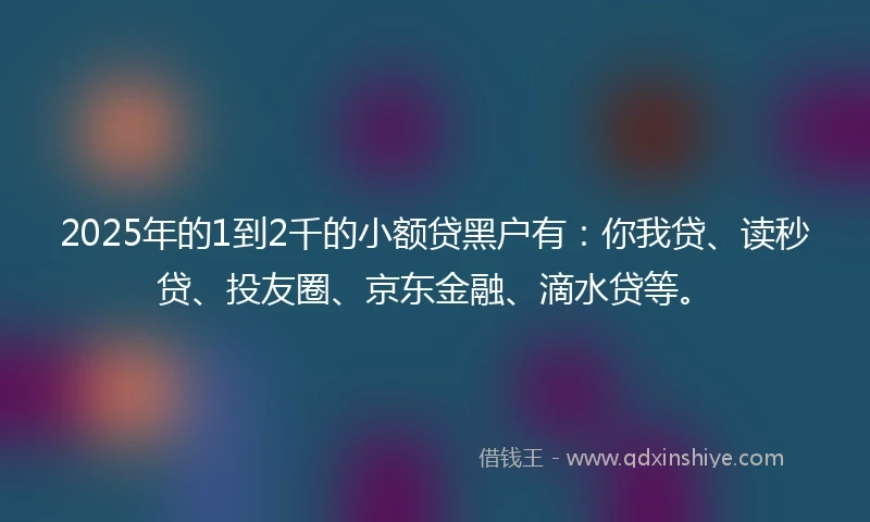 2025年的1到2千的小额贷黑户有：你我贷、读秒贷、投友圈、京东金融、滴水贷等。