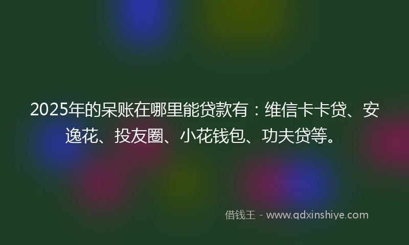 2025年的呆账在哪里能贷款有：维信卡卡贷、安逸花、投友圈、小花钱包、功夫贷等。