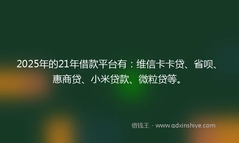 2025年的21年借款平台有：维信卡卡贷、省呗、惠商贷、小米贷款、微粒贷等。