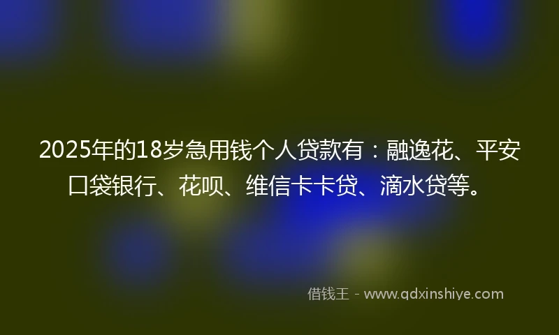2025年的18岁急用钱个人贷款有：融逸花、平安口袋银行、花呗、维信卡卡贷、滴水贷等。