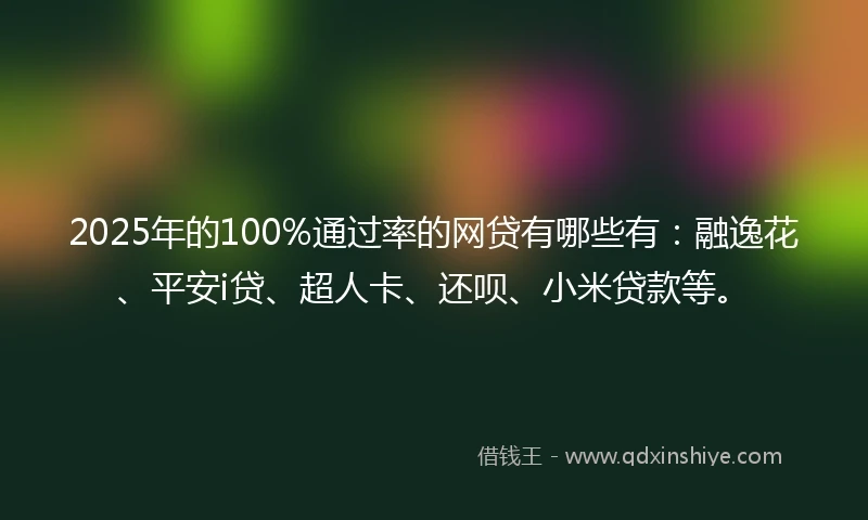 2025年的100%通过率的网贷有哪些有：融逸花、平安i贷、超人卡、还呗、小米贷款等。