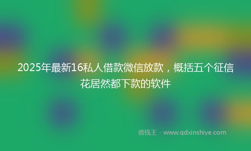 2025年最新16私人借款微信放款，概括五个征信花居然都下款的软件