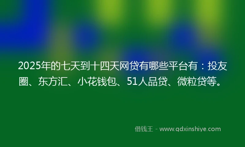 2025年的七天到十四天网贷有哪些平台有：投友圈、东方汇、小花钱包、51人品贷、微粒贷等。