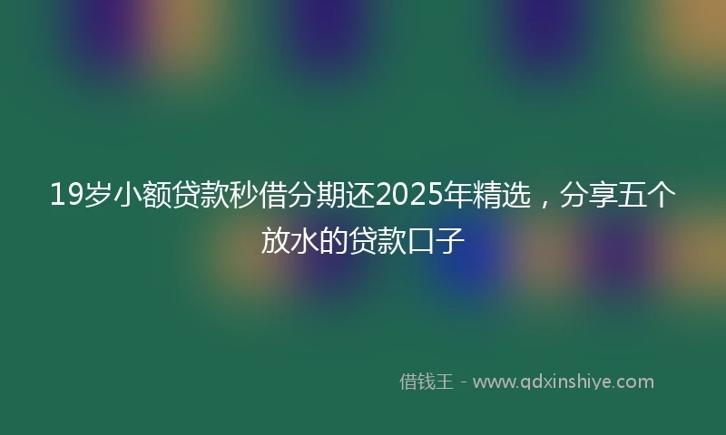 19岁小额贷款秒借分期还2025年精选，分享五个放水的贷款口子
