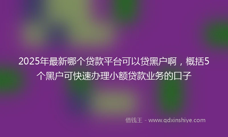 2025年最新哪个贷款平台可以贷黑户啊，概括5个黑户可快速办理小额贷款业务的口子