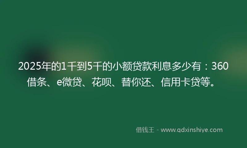 2025年的1千到5千的小额贷款利息多少有：360借条、e微贷、花呗、替你还、信用卡贷等。
