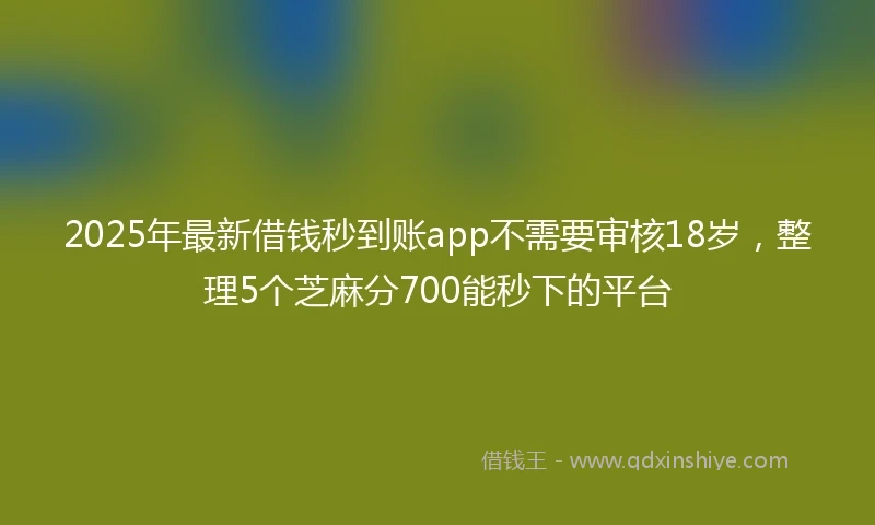 2025年最新借钱秒到账app不需要审核18岁，整理5个芝麻分700能秒下的平台