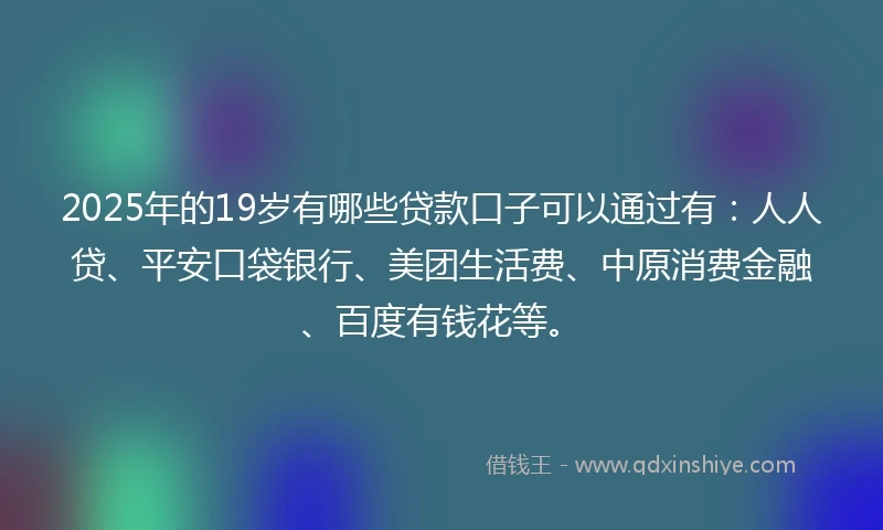 2025年的19岁有哪些贷款口子可以通过有：人人贷、平安口袋银行、美团生活费、中原消费金融、百度有钱花等。