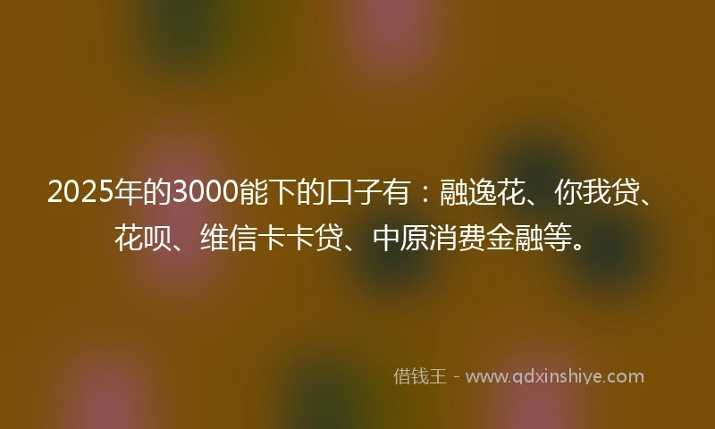 2025年的3000能下的口子有：融逸花、你我贷、花呗、维信卡卡贷、中原消费金融等。