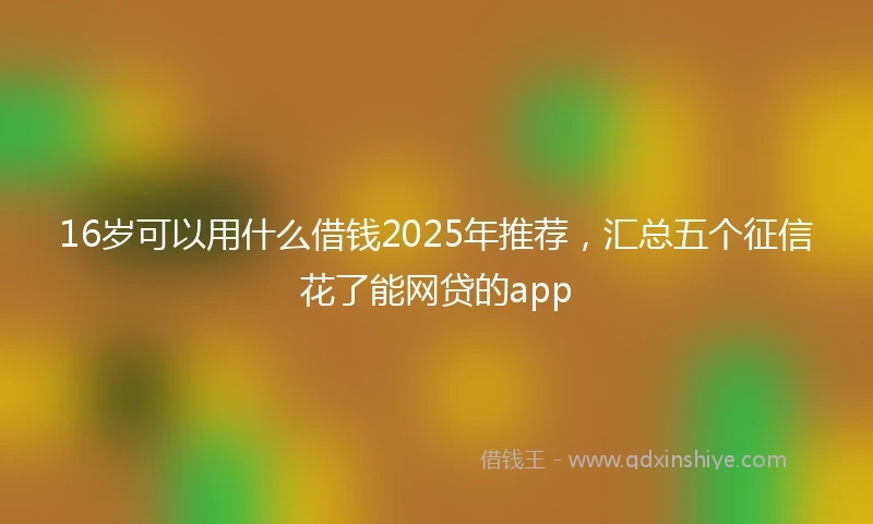 16岁可以用什么借钱2025年推荐，汇总五个征信花了能网贷的app