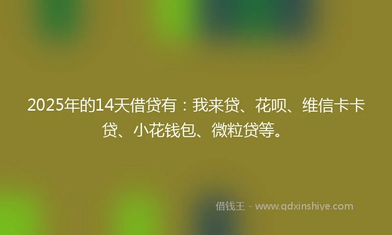 2025年的14天借贷有：我来贷、花呗、维信卡卡贷、小花钱包、微粒贷等。