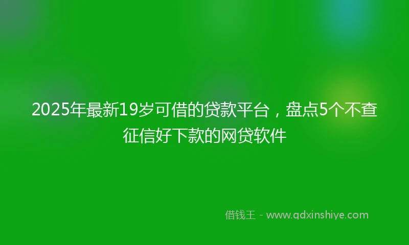 2025年最新19岁可借的贷款平台，盘点5个不查征信好下款的网贷软件
