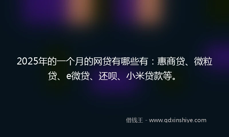 2025年的一个月的网贷有哪些有：惠商贷、微粒贷、e微贷、还呗、小米贷款等。