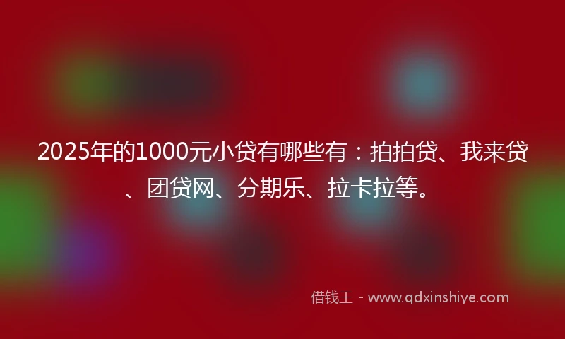 2025年的1000元小贷有哪些有：拍拍贷、我来贷、团贷网、分期乐、拉卡拉等。