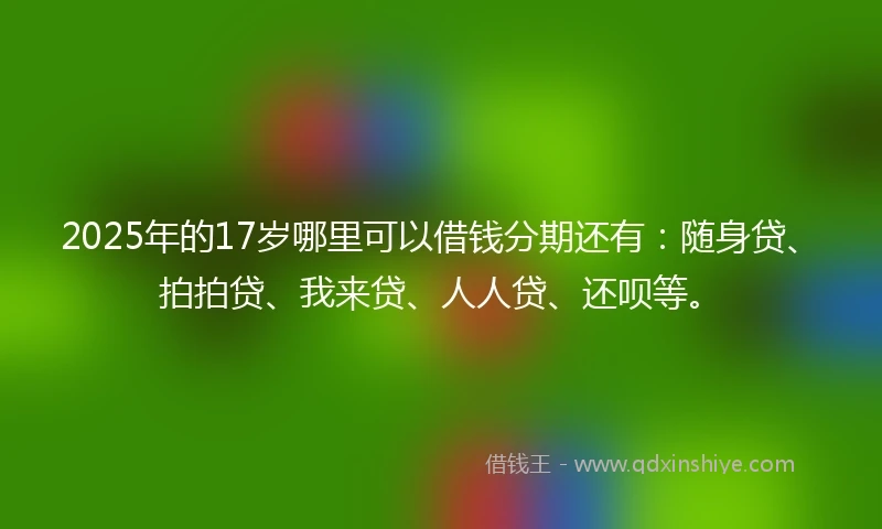 2025年的17岁哪里可以借钱分期还有：随身贷、拍拍贷、我来贷、人人贷、还呗等。