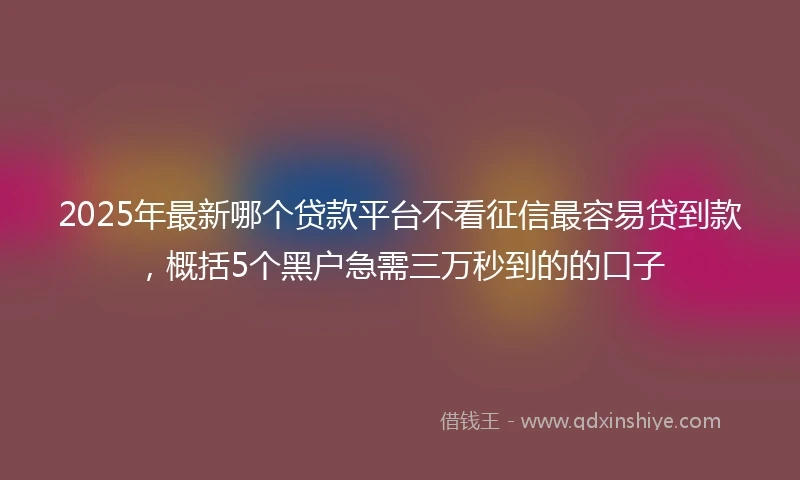 2025年最新哪个贷款平台不看征信最容易贷到款，概括5个黑户急需三万秒到的的口子