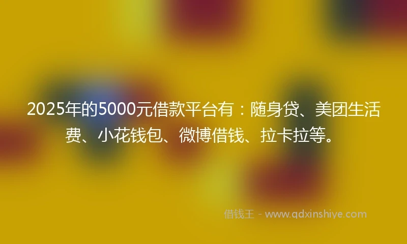 2025年的5000元借款平台有：随身贷、美团生活费、小花钱包、微博借钱、拉卡拉等。