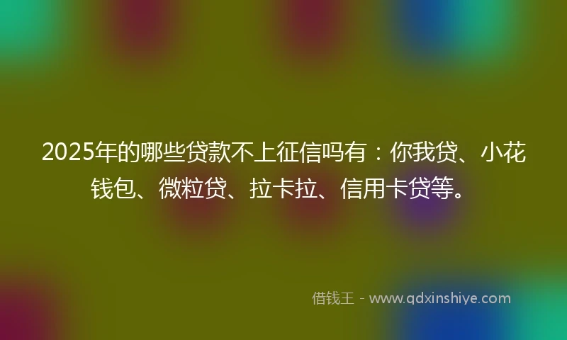 2025年的哪些贷款不上征信吗有：你我贷、小花钱包、微粒贷、拉卡拉、信用卡贷等。
