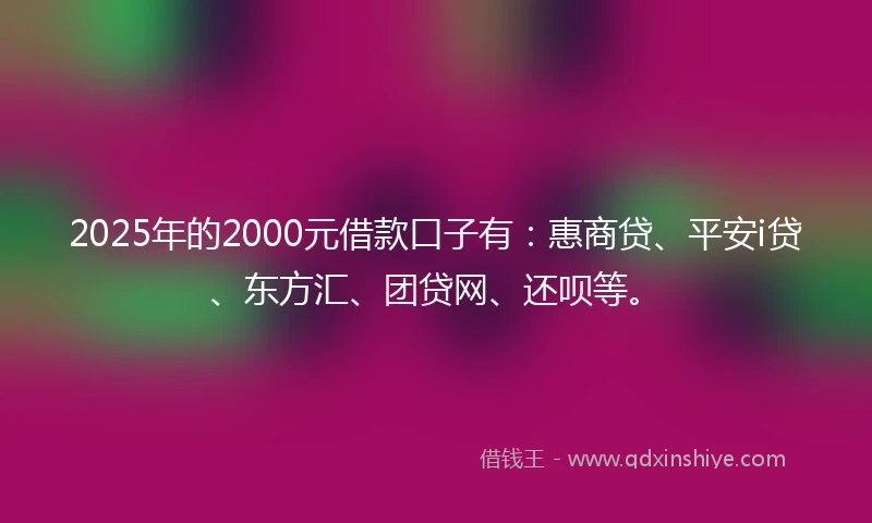 2025年的2000元借款口子有：惠商贷、平安i贷、东方汇、团贷网、还呗等。