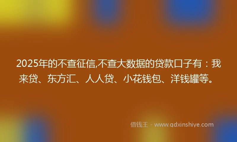 2025年的不查征信,不查大数据的贷款口子有：我来贷、东方汇、人人贷、小花钱包、洋钱罐等。